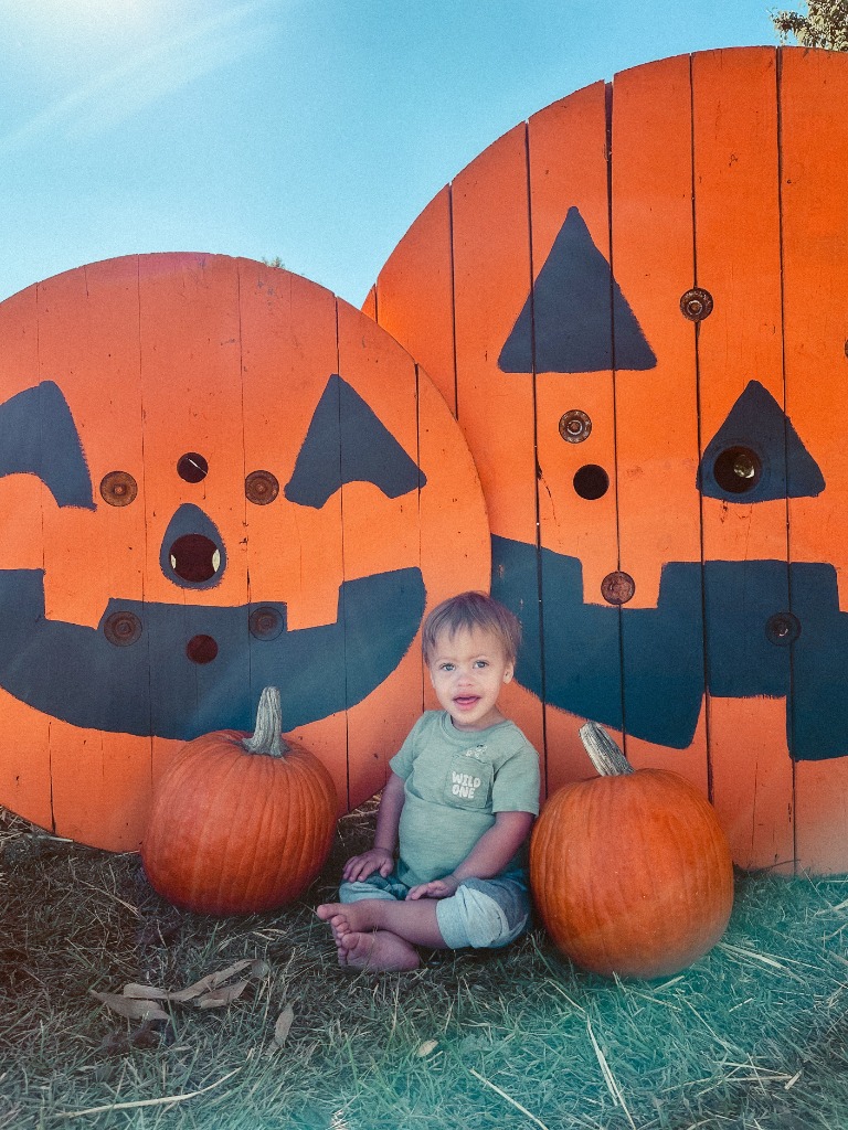 Fall season at Dirt & Grit Farm